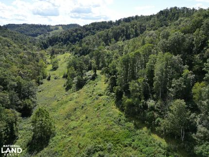 Undeveloped Land for sale in Lewis County, West Virginia