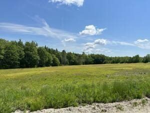 Timberland Property for sale in Hancock County, Maine