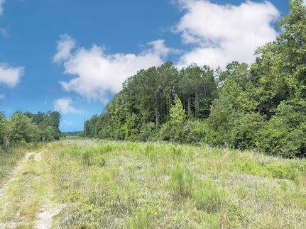 Farm and Ranch for sale in Dillon County, South Carolina