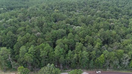 Undeveloped Land for sale in Tyler County, Texas