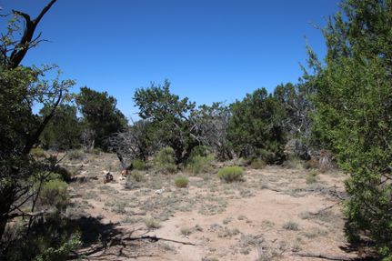 Farm and Ranch for sale in Apache County, Arizona