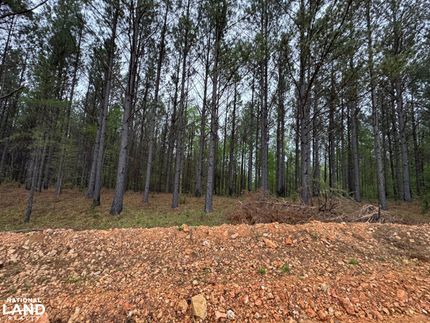Recreational Property in Hickman County, Tennessee