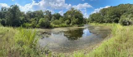 Farm and Ranch for sale in Robertson County, Texas