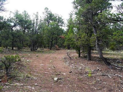 Recreational Property in Cibola County, New Mexico