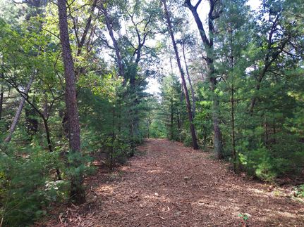 Land for sale in Adams County, Wisconsin