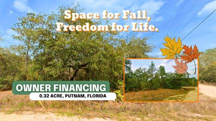 Undeveloped Land in Putnam County, Florida