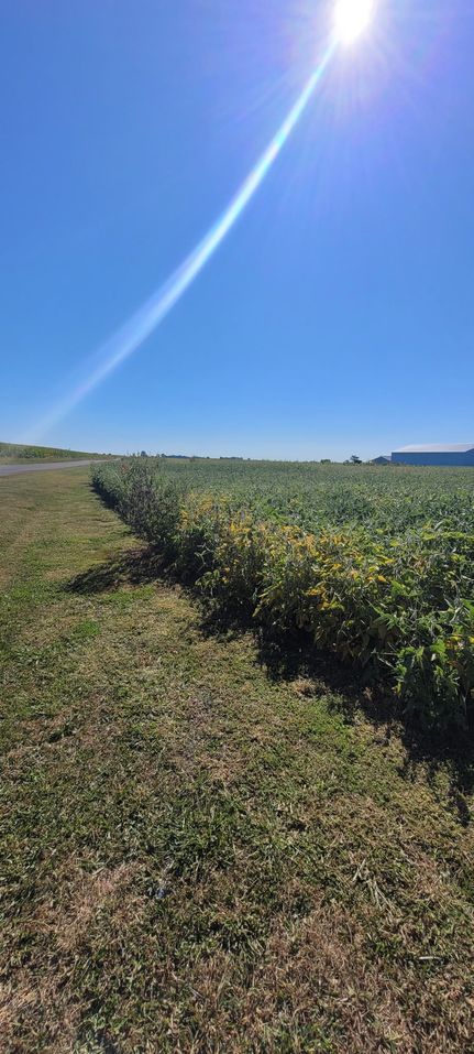 Farm and Ranch for sale in Madison County, Ohio