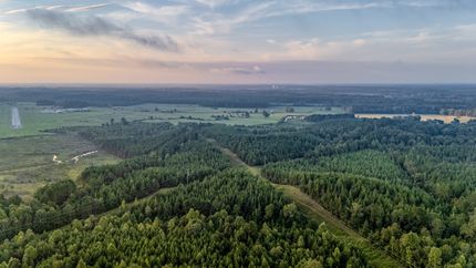 Timberland Property for sale in Newton County, Mississippi