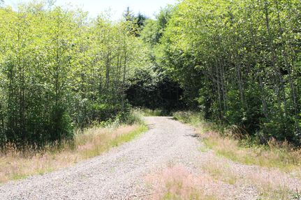Undeveloped Land for sale in Grays Harbor County, Washington