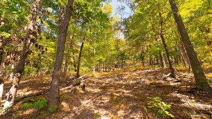 Commercial Property for sale in Pike County, Ohio