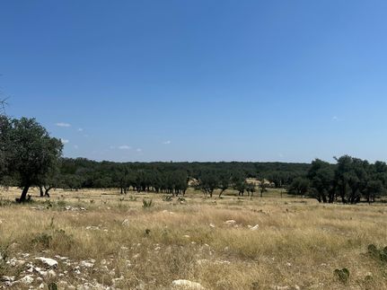 Land in Sutton County, Texas