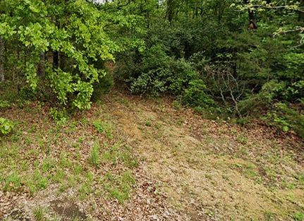Undeveloped Land in Izard County, Arkansas