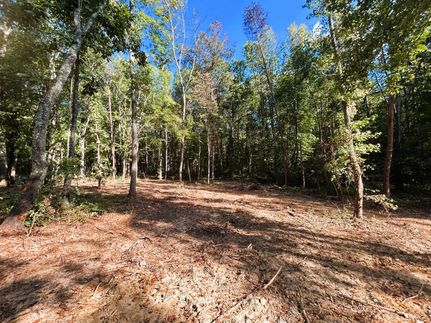 Land for sale in Meigs County, Tennessee