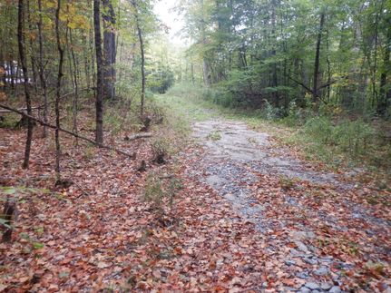 Hunting Property for sale in Rutland County, Vermont