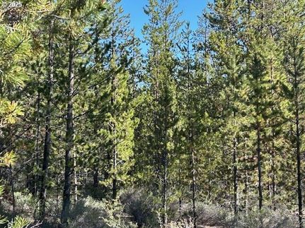 Undeveloped Land in Klamath County, Oregon