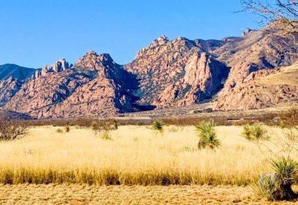 Farm and Ranch for sale in Cochise County, Arizona