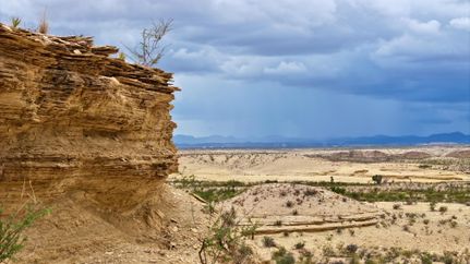 Undeveloped Land for sale in Brewster County, Texas