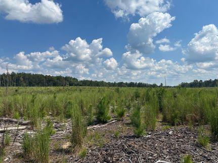 Timberland Property for sale in Simpson County, Mississippi
