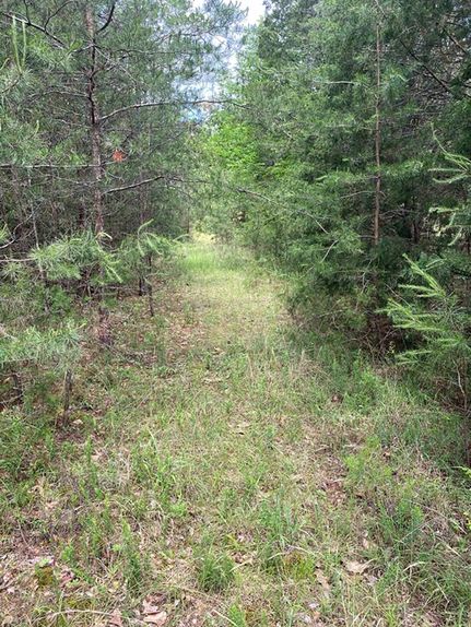 Undeveloped Land for sale in Union County, South Carolina
