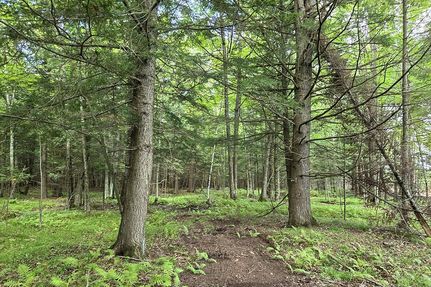 Undeveloped Land for sale in Price County, Wisconsin