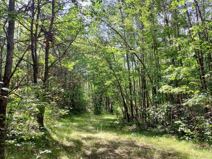 Land for sale in Sawyer County, Wisconsin