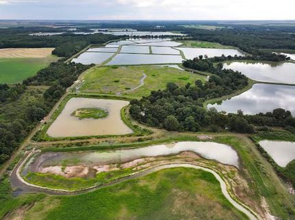 Timberland Property for sale in Lonoke County, Arkansas