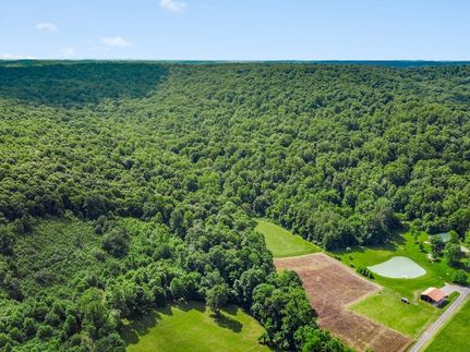 Undeveloped Land in Pike County, Ohio