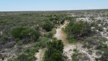 Farm and Ranch for sale in Terrell County, Texas