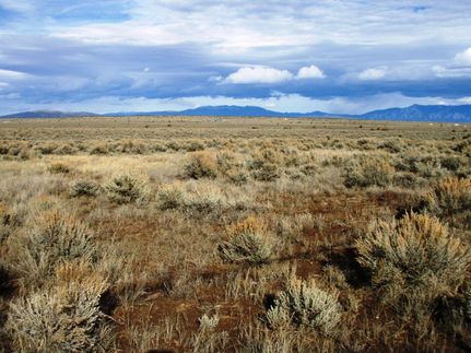 Homesite for sale in Taos County, New Mexico