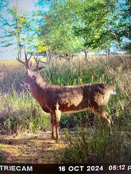 Hunting Property in Pratt County, Kansas