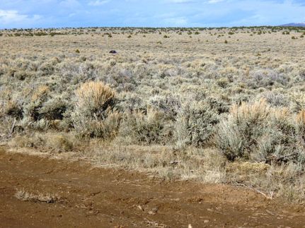 Land for sale in Taos County, New Mexico