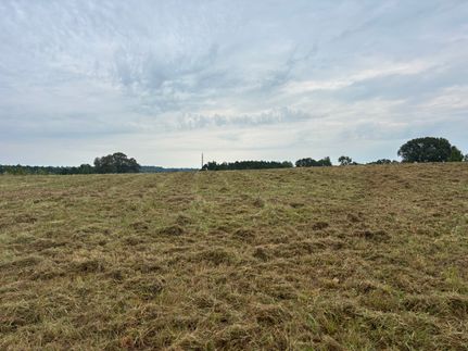 Land for sale in Cass County, Texas