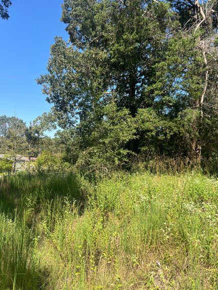 Undeveloped Land in Anderson County, Texas