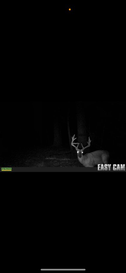 Timberland Property for sale in Hardeman County, Tennessee