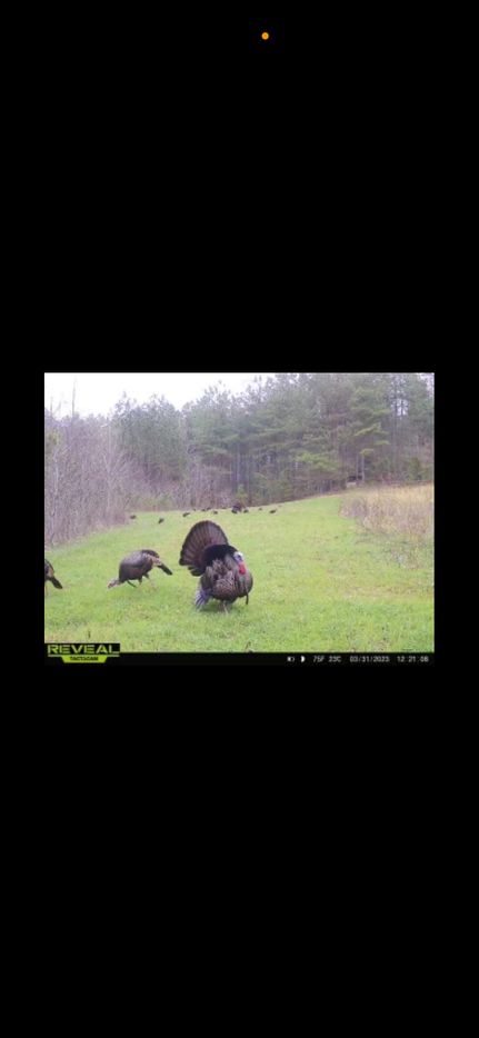 Recreational Property for sale in Hardeman County, Tennessee