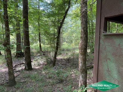 Farm and Ranch for sale in Jackson Parish, Louisiana