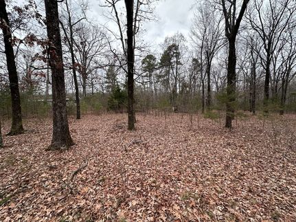 Undeveloped Land for sale in Cleburne County, Arkansas