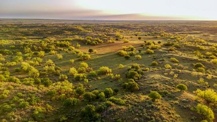 Timberland Property for sale in Hall County, Texas