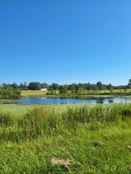 Farm and Ranch for sale in Washington County, Florida