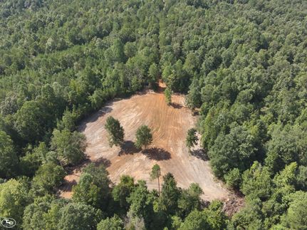 Recreational Property in Greene County, Alabama
