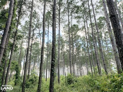 Recreational Property in Barbour County, Alabama