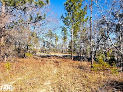 Commercial Property in Taylor County, Georgia