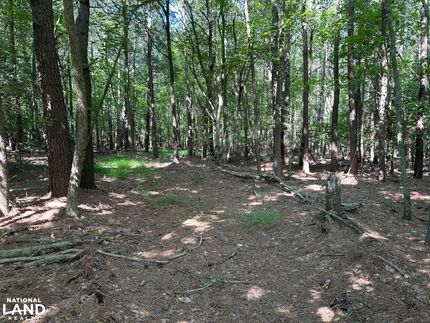 Hunting Property in Dorchester County, Maryland