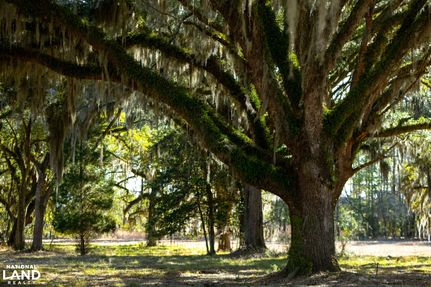 Homesite for sale in Georgetown County, South Carolina