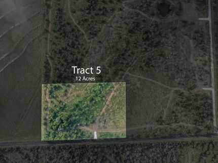 Undeveloped Land in Limestone County, Texas