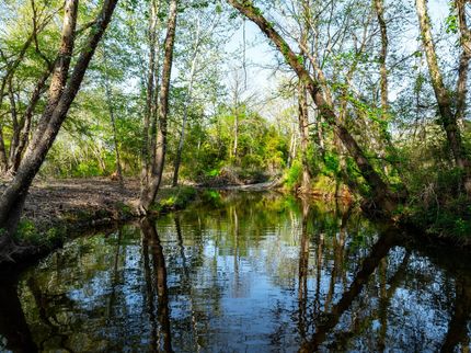 Hunting Property for sale in Sharp County, Arkansas