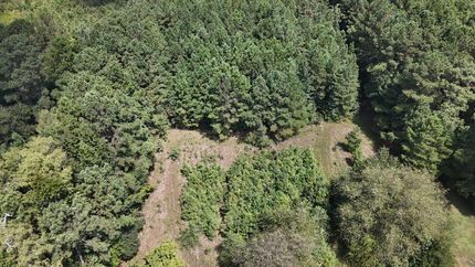 Land for sale in Robeson County, North Carolina