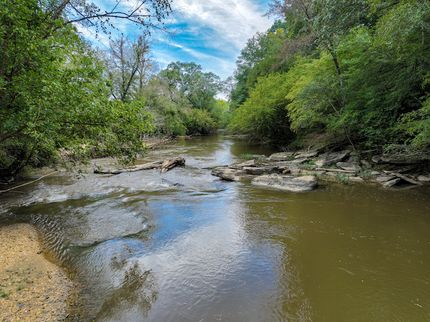 Land for sale in Cleburne County, Alabama