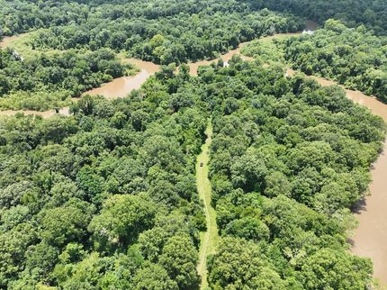 Timberland Property for sale in Pulaski County, Georgia