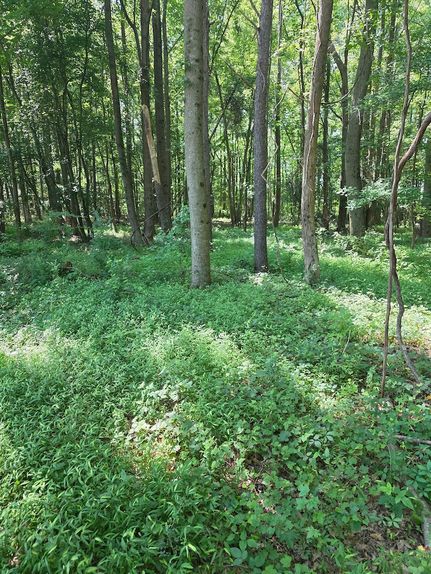 Farm and Ranch in Edgecombe County, North Carolina